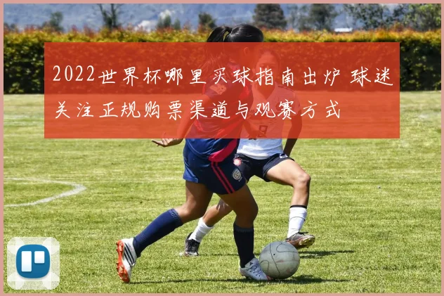 2022世界杯哪里买球指南出炉 球迷关注正规购票渠道与观赛方式