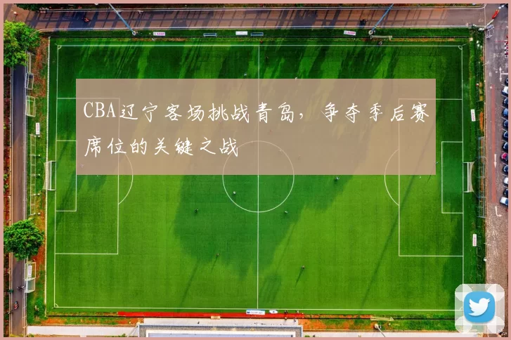 CBA辽宁客场挑战青岛,争夺季后赛席位的关键之战