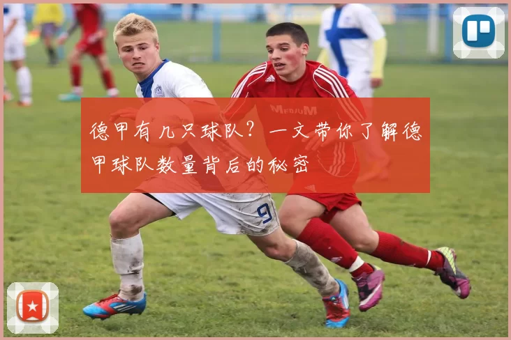 德甲有几只球队？一文带你了解德甲球队数量背后的秘密