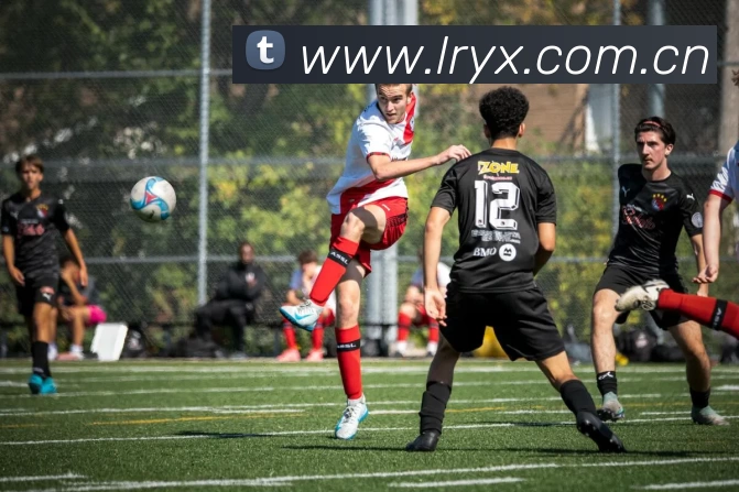 开云(中国)Kaiyun·体育官方网站 - 登录入口APP 封面图